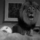 Illustration for article titled Syfys iTwilight Zone/i Marathon: Your Guide to All 156 Episodes (With Links For Cordcutters)